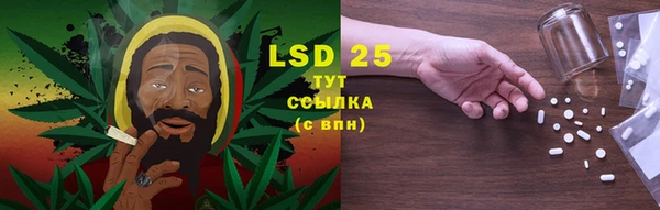 индика Лагань