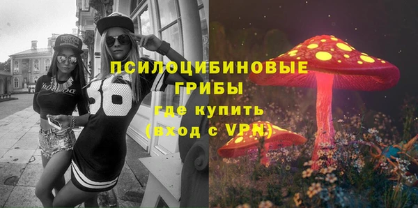 индика Лагань